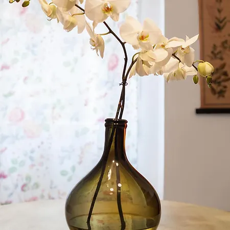 Bonito Cerca Del Palacio De Congresos Apartment Granada